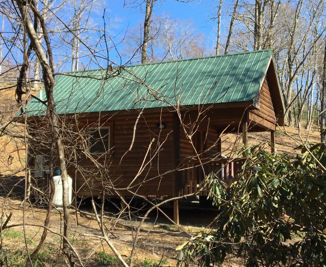 Little River Cabin Sparta Екстериор снимка
