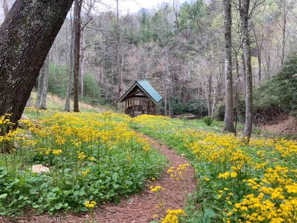 Little River Cabin Sparta Екстериор снимка
